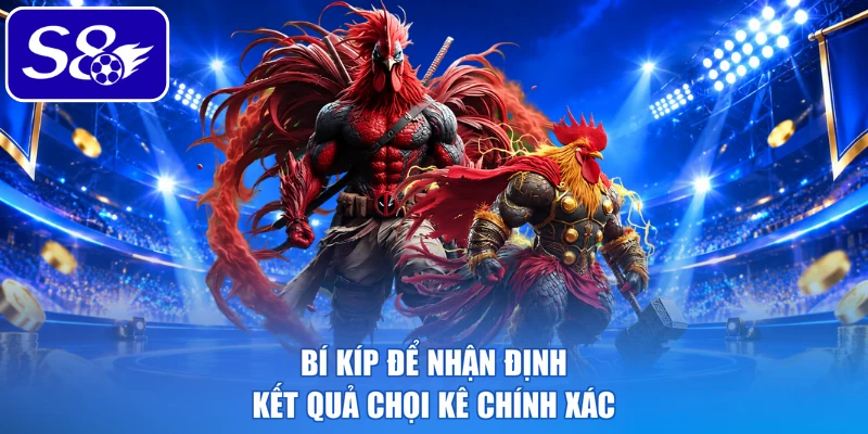 Bí kíp để nhận định kết quả chọi kê chính xác