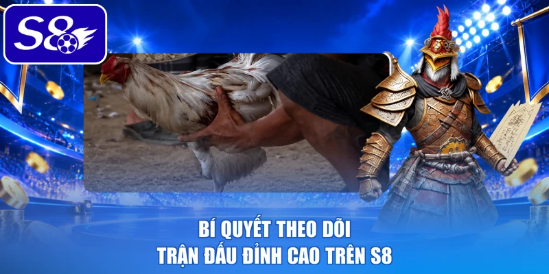 Bí quyết theo dõi trận đấu đỉnh cao trên S8