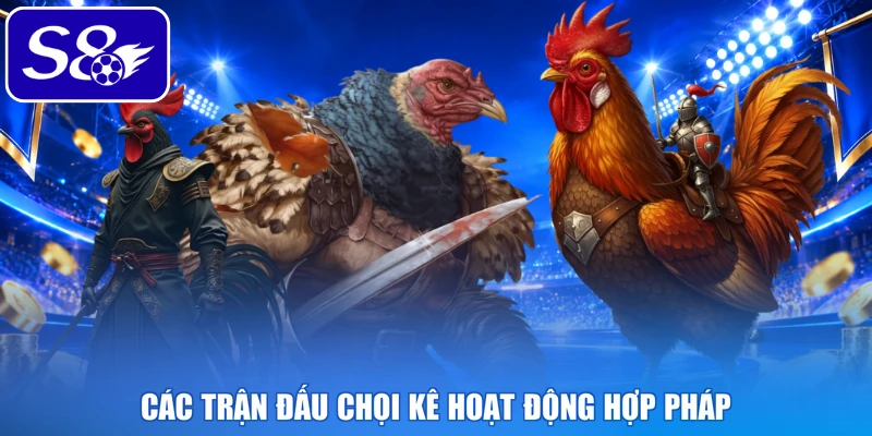 Các trận đấu chọi kê hoạt động hợp pháp