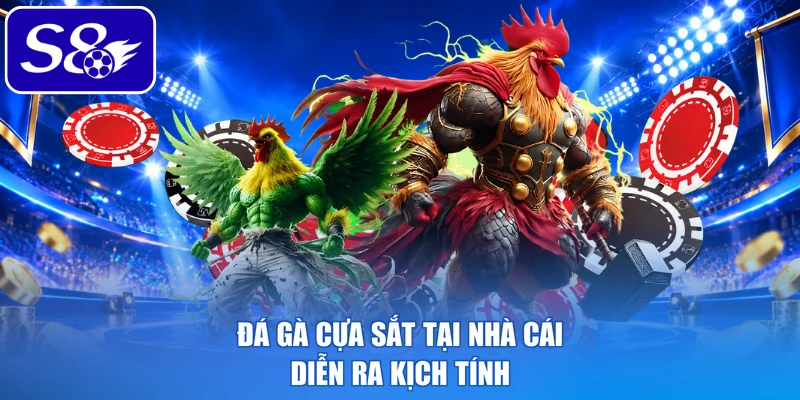 Đá gà cựa sắt tại nhà cái diễn ra kịch tính