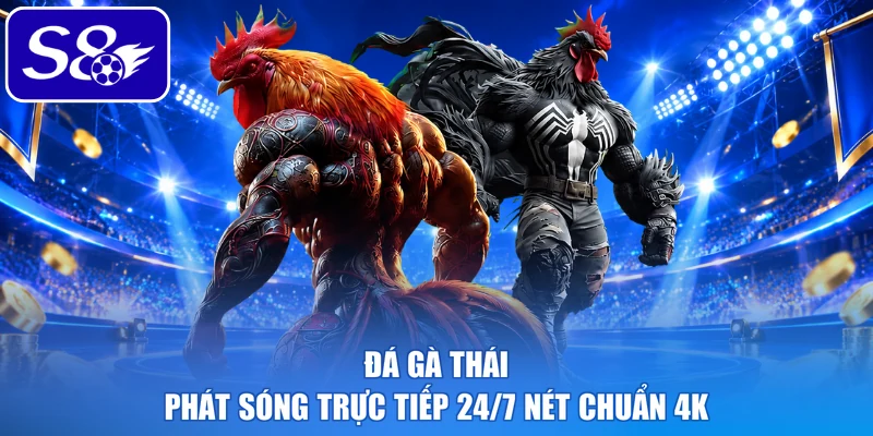 Đá gà thái