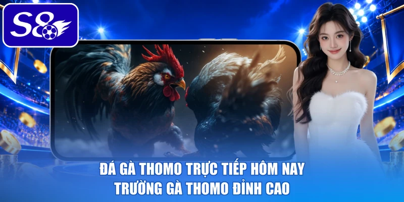 Đá gà Thomo