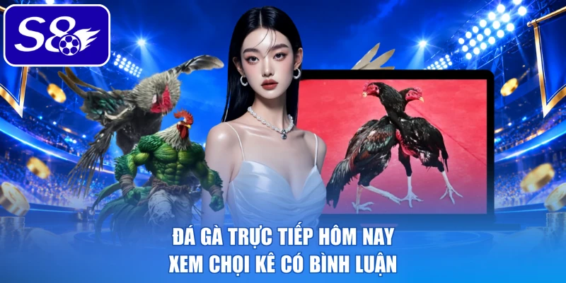 Đá gà trực tiếp