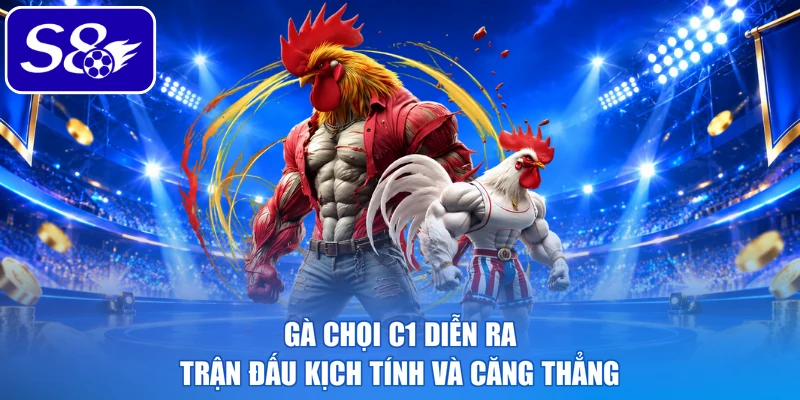 Gà chọi C1 diễn ra trận đấu kịch tính và căng thẳng