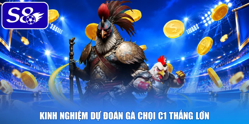 Kinh nghiệm dự đoán gà chọi C1 thắng lớn