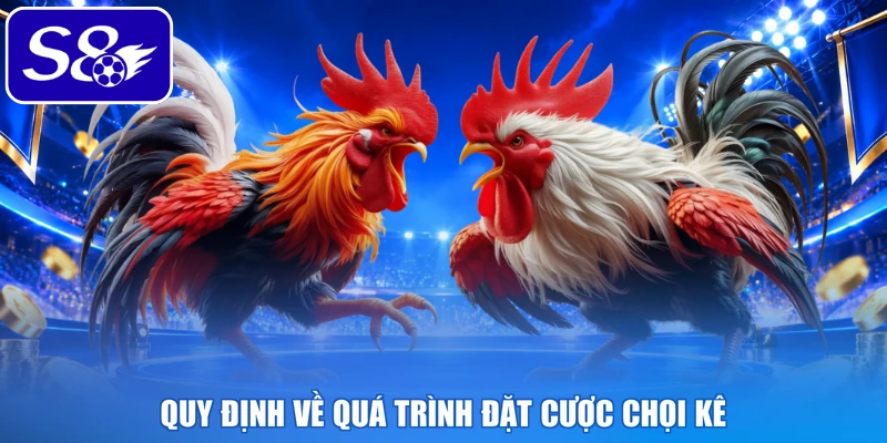 Quy định về quá trình đặt cược chọi kê