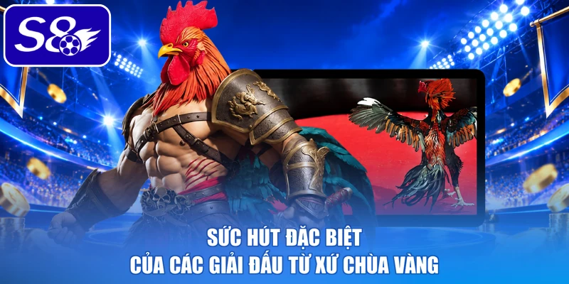 Sức hút đặc biệt của các giải đấu từ xứ chùa Vàng