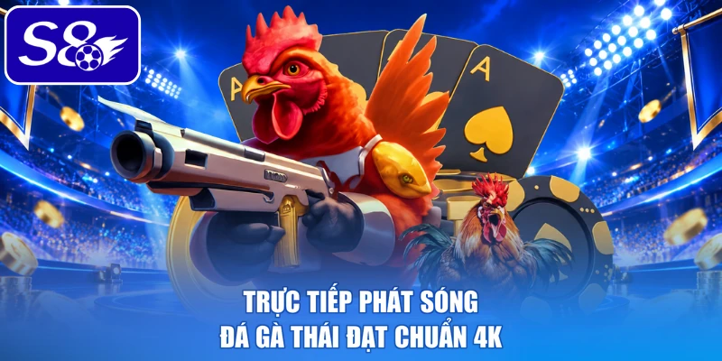 Trực tiếp phát sóng đá gà Thái đạt chuẩn 4K